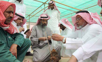 ورشة عمل بمركز أبحاث الزراعة العضوية بالقصيم 