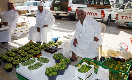 الحبحب يغزو يوم المزارع 