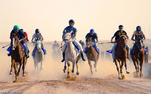 الحواس يخطف سيارة سباق الخيل السنوي بالبدائع 