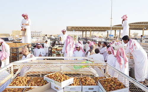 بريدة تضع خطوتها الأولى في الطريق لبورصة عالمية للمنتج 