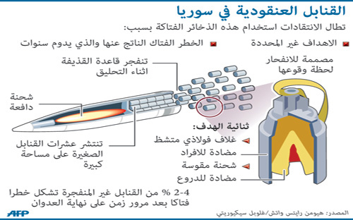 أوباما: سورية ليست «العراق أو أفغانستان» أخرى.. وهولاند يتوقع نشر تقرير الأمم المتحدة الأسبوع القادم 