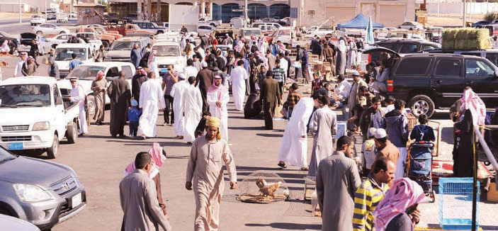 سوق الحمام في تبوك .. مهرجان أسبوعي لعشاق الطيور يؤمن فُرص عمل للعاطلين 