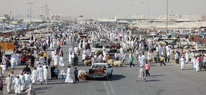 سوق الماشية الجديد بين الرس وقصر ابن عقيل تم اختياره 