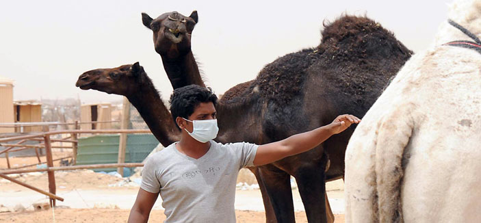 احترنا ما بين نفي باحث بيطري وتأكيد الصحة..! 