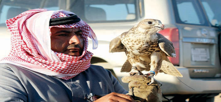 صحراء الحمّاد.. ملتقى الصقور الثمينة في العالم 