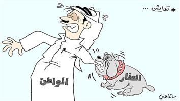 al-jazirah cartoon