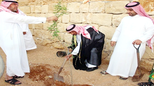  الشرهان والرميح يغرسان أشجار الطلح