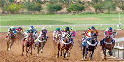 163 جواداً ترفع شعارات 10 ميادين تبحث عن المجد في الدورة الـ(20) لكأس عز الخيل 