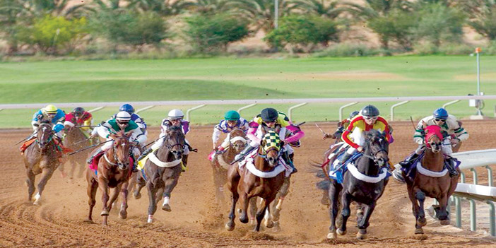 عقدان على دروب الرفعة والتميز 