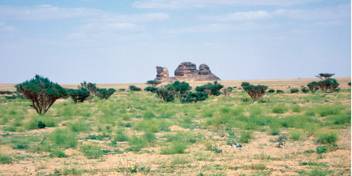  الأرض وقد اكتست بالثلج (البرد) جنوب وادي الدواسر