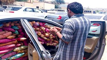 جازان : القبض على مخالف أثناء محاولته تهريب كميات من القات 