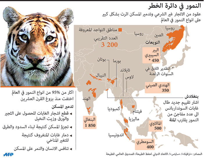 النمور في دائرة الخطر 