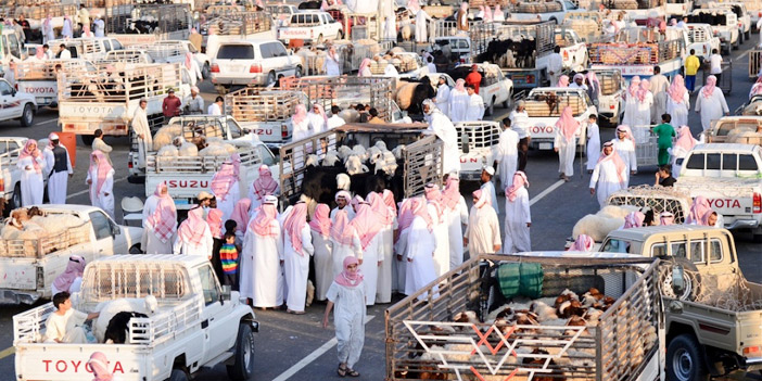  لقطة من الحركة الكبيرة في أسواق المواشي ببريدة مع حلول موسم الأضاحي