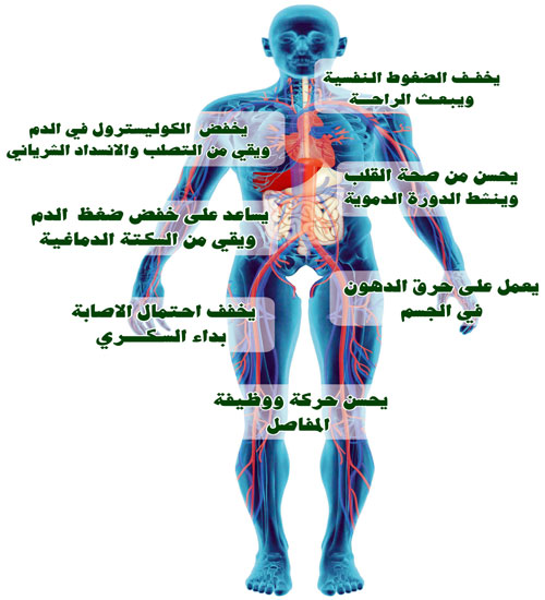 بعض فوائد رياضة المشي 