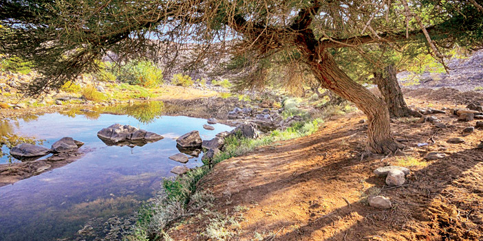 «بدر الجنوب».. محافظة الغيم وأودية السدر الخضراء 