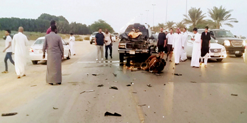 حصان هارب يفاجئ السيارات ويتسبب في حادث مروري بعزيزية الخبر 