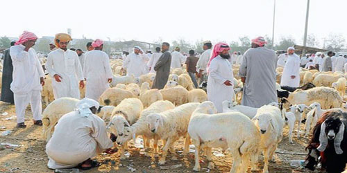 ثمنوا جهود «الزراعة» وطالبوا «العمل» بتخفيض نسبة السعودة 