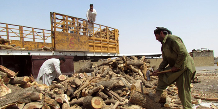  عمالة تقطع الحطب