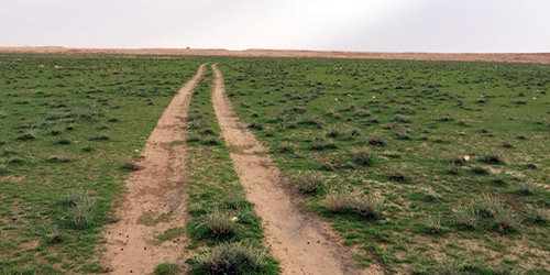  إحدى الفياض الخالية من الأشجار