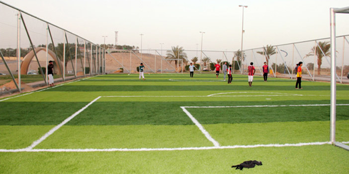 الملاعب الرياضية 