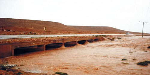 ماذا عن سيول وادي الكلبي 