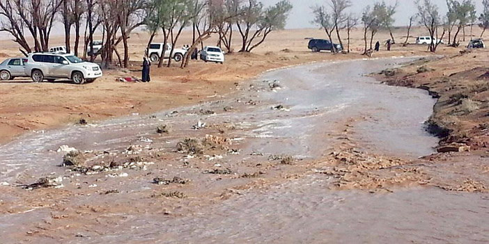 شعيب الطرفية يغري المتنزهين بأجوائه الربيعية 