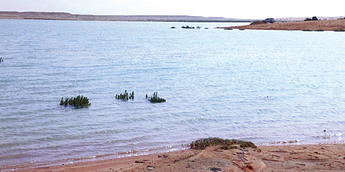 روضة برودان.. بحيرة في الصحراء بطبيعتها وشواطئها الرملية 