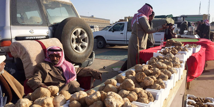  العرض يتزايد يوماً بعد يوم