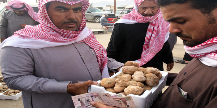  بيع وشراء الفقع في حفر الباطن