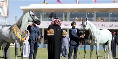 (جوهرة عذبة).. (عفسية).. (خريسان) للأمير أحمد بن عبدالعزيز تتوشح بالذهب 