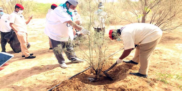  الكشافة خلال عملهم في مشروع صد الرمال الزاحفة