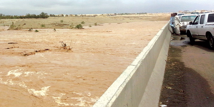 في عدد من مناطق المملكة 