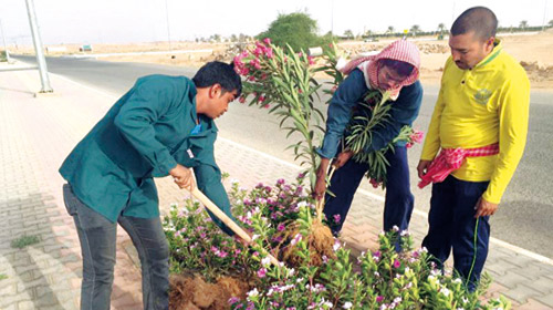  عمال يستبدلون الزروع