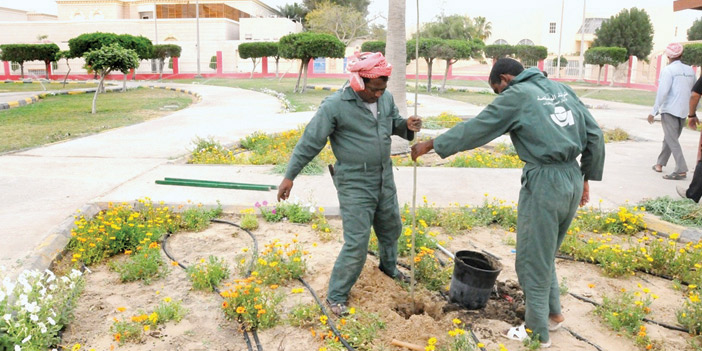  عمال البلدية خلال زراعتهم للأشجار