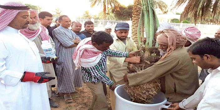   أثناء التدريب العملي في الورشة الزراعية