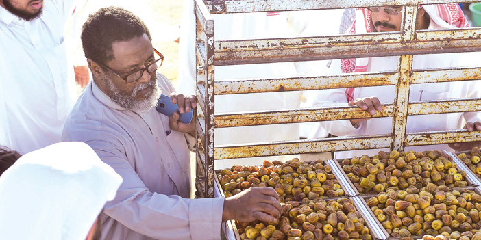 أمانة القصيم: أسواق التمور خاضعة للرقابة الصحية 