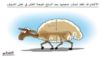 al-jazirah cartoon