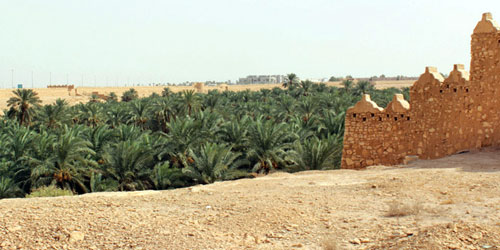  تصوير - خلود العيدان