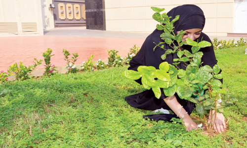  من الأعمال النشاطية