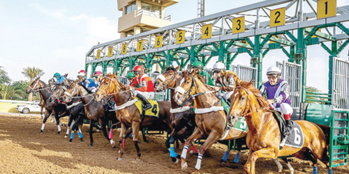  منافسات الخيل تحظى دائماً بالإثارة والندية