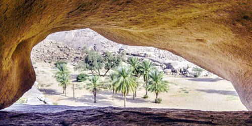  عدسة المصور/ رشيد البغيق