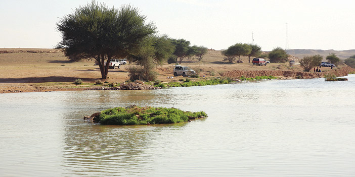  صورة لجريان شعيب «دقلة» شمال الرياض أمس