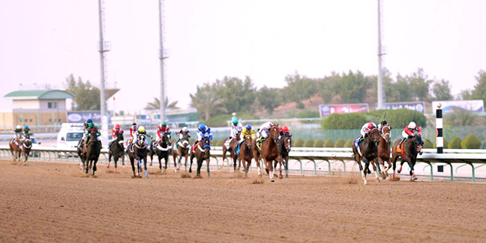 ملاك الخيل يوافقون المدربين الترشيح 