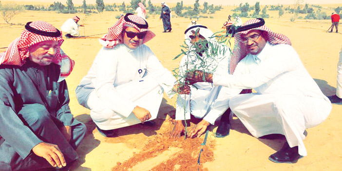 موظفو مصرف الراجحي يتطوعون لاستزراع منتزه عنيزة الوطني 