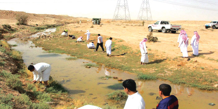 1100 شجرة لشعيب المقفازة في عنيزة 