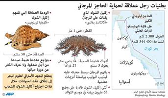 بطنيات رجل عملاقة لحماية الحاجز المرجاني 