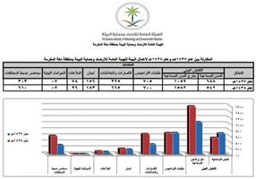 3075 جولة تفتيشية للأرصاد في منطقة مكة المكرمة خلال عام 1438 هـ 