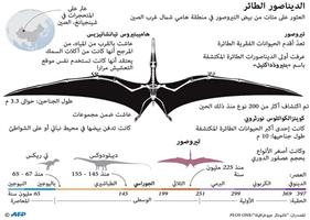 إنفوجرافيك 