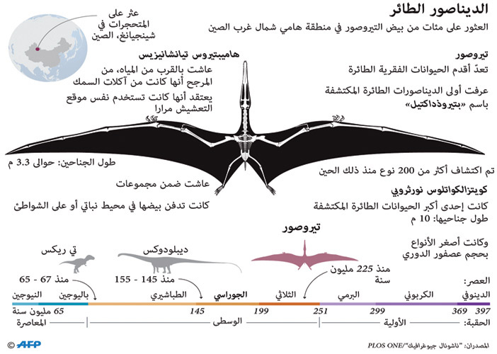 إنفوجرافيك 