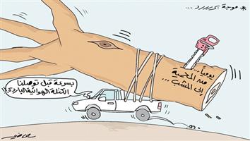 al-jazirah cartoon